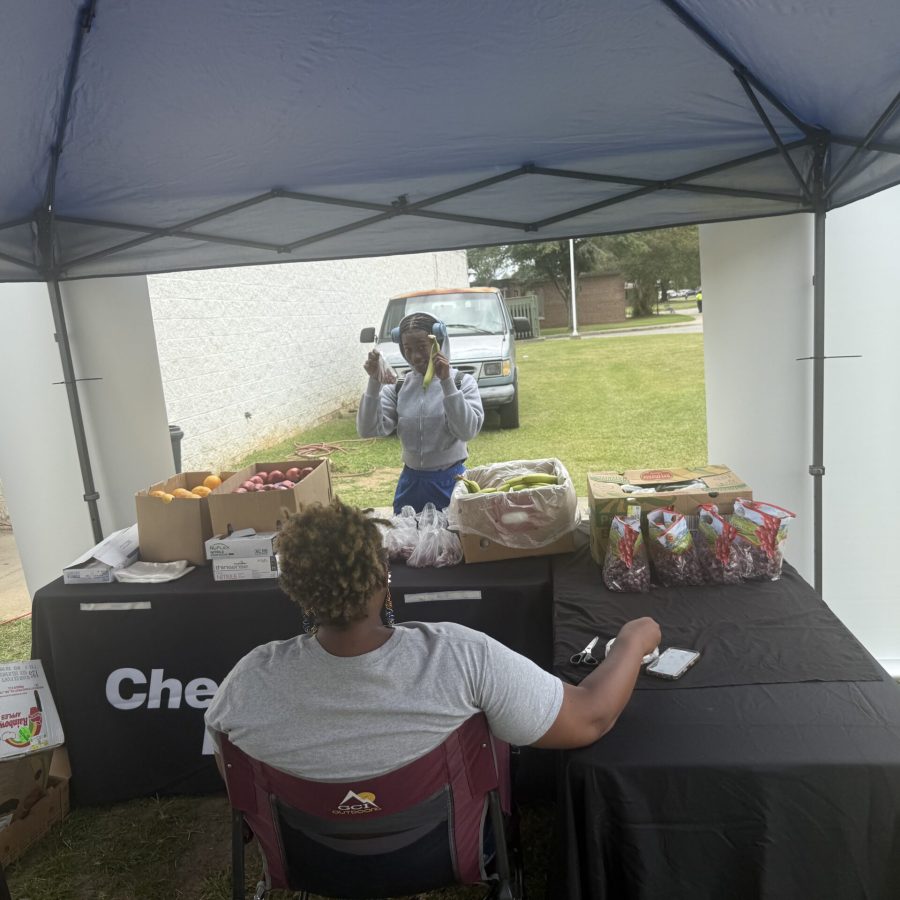 SCSU ITB Fruit Stand 03